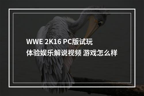 WWE 2K16 PC版试玩体验娱乐解说视频 游戏怎么样