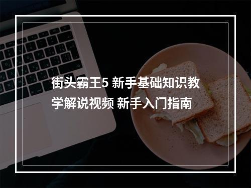 街头霸王5 新手基础知识教学解说视频 新手入门指南