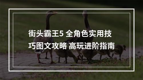 街头霸王5 全角色实用技巧图文攻略 高玩进阶指南