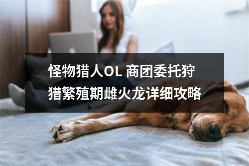 怪物猎人OL 商团委托狩猎繁殖期雌火龙详细攻略