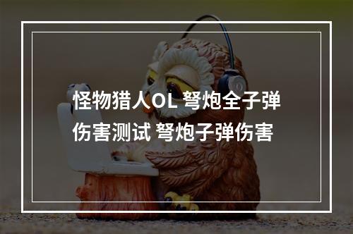 怪物猎人OL 弩炮全子弹伤害测试 弩炮子弹伤害