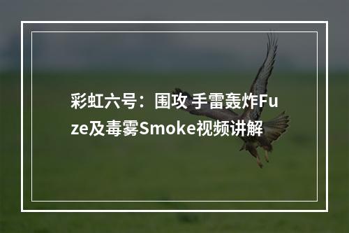 彩虹六号：围攻 手雷轰炸Fuze及毒雾Smoke视频讲解