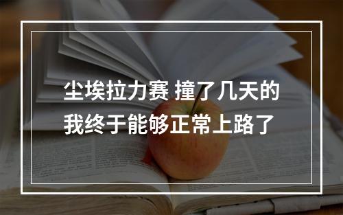 尘埃拉力赛 撞了几天的我终于能够正常上路了