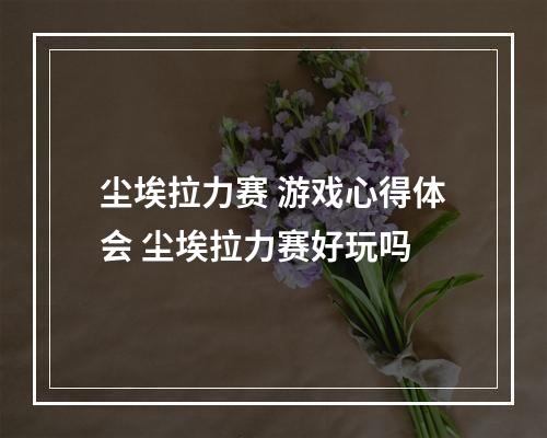 尘埃拉力赛 游戏心得体会 尘埃拉力赛好玩吗