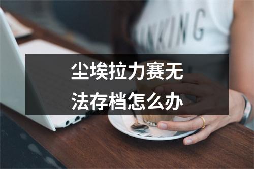 尘埃拉力赛无法存档怎么办