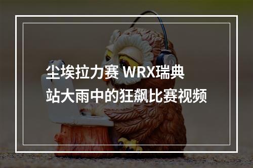 尘埃拉力赛 WRX瑞典站大雨中的狂飙比赛视频