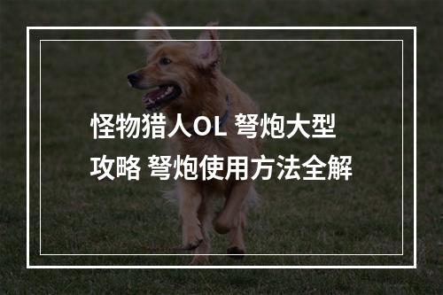 怪物猎人OL 弩炮大型攻略 弩炮使用方法全解