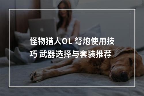 怪物猎人OL 弩炮使用技巧 武器选择与套装推荐