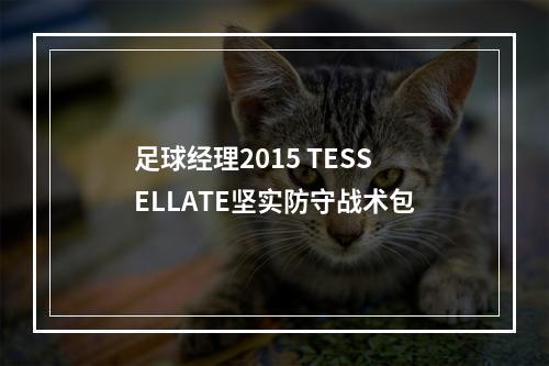 足球经理2015 TESSELLATE坚实防守战术包