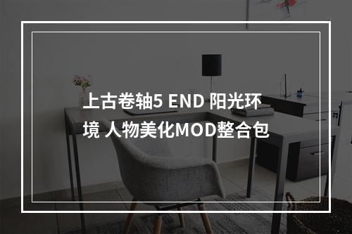 上古卷轴5 END 阳光环境 人物美化MOD整合包