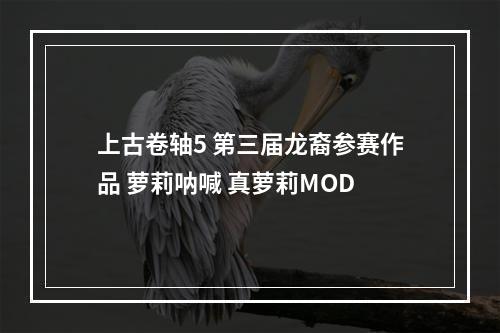 上古卷轴5 第三届龙裔参赛作品 萝莉呐喊 真萝莉MOD