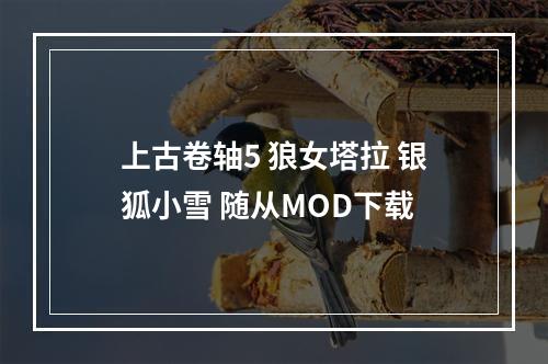 上古卷轴5 狼女塔拉 银狐小雪 随从MOD下载