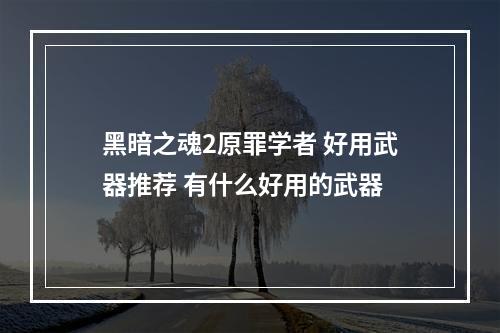 黑暗之魂2原罪学者 好用武器推荐 有什么好用的武器