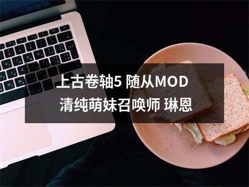 上古卷轴5 随从MOD 清纯萌妹召唤师 琳恩