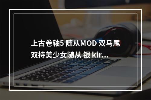 上古卷轴5 随从MOD 双马尾双持美少女随从 银 kirsi