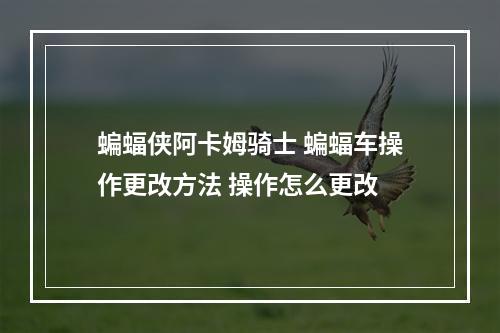 蝙蝠侠阿卡姆骑士 蝙蝠车操作更改方法 操作怎么更改