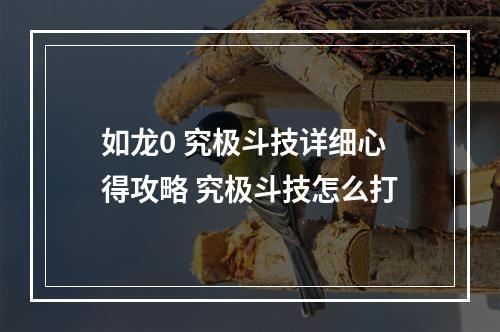 如龙0 究极斗技详细心得攻略 究极斗技怎么打