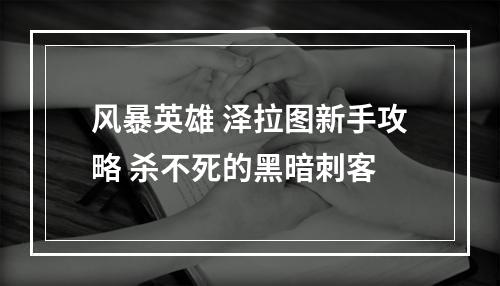 风暴英雄 泽拉图新手攻略 杀不死的黑暗刺客