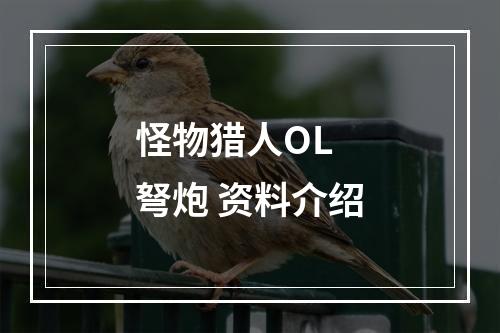 怪物猎人OL 弩炮 资料介绍