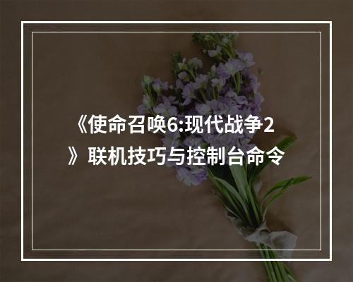 《使命召唤6:现代战争2》联机技巧与控制台命令