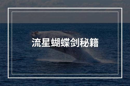 流星蝴蝶剑秘籍