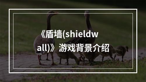 《盾墙(shieldwall)》游戏背景介绍