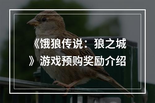 《饿狼传说：狼之城》游戏预购奖励介绍