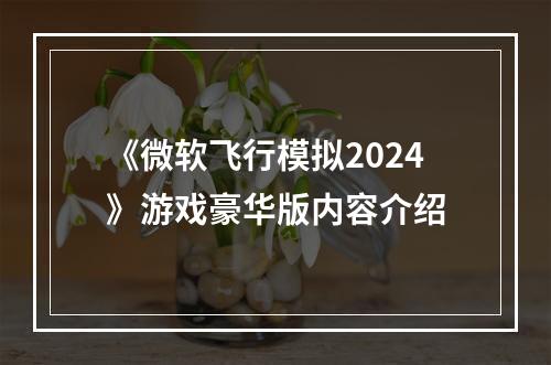 《微软飞行模拟2024》游戏豪华版内容介绍