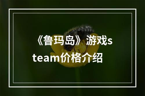 《鲁玛岛》游戏steam价格介绍