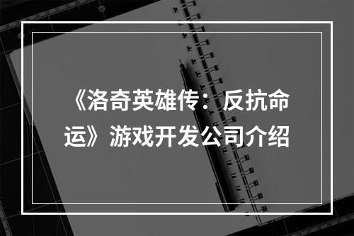 《洛奇英雄传：反抗命运》游戏开发公司介绍