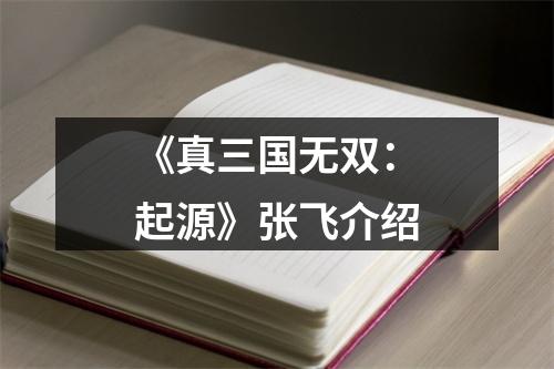 《真三国无双：起源》张飞介绍