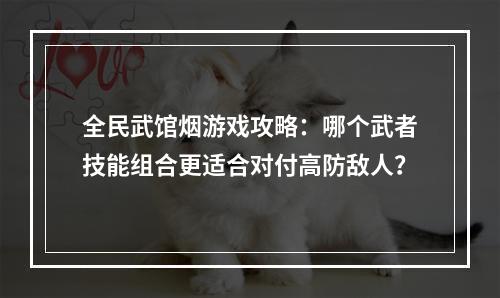 全民武馆烟游戏攻略：哪个武者技能组合更适合对付高防敌人？