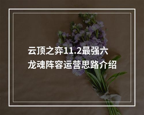 云顶之弈11.2最强六龙魂阵容运营思路介绍