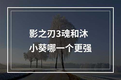 影之刃3魂和沐小葵哪一个更强