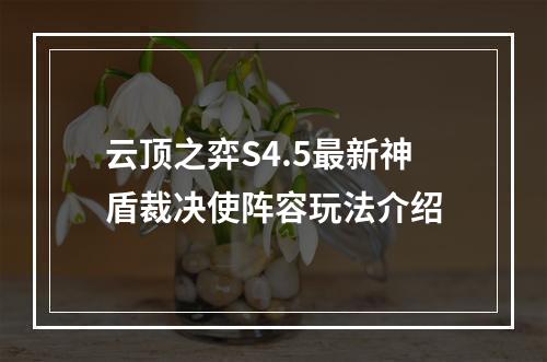 云顶之弈S4.5最新神盾裁决使阵容玩法介绍