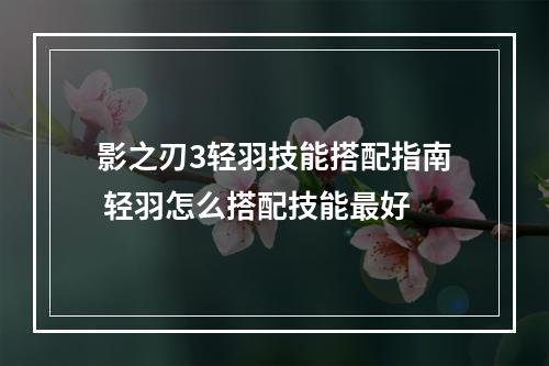 影之刃3轻羽技能搭配指南 轻羽怎么搭配技能最好