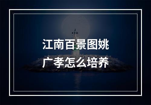 江南百景图姚广孝怎么培养