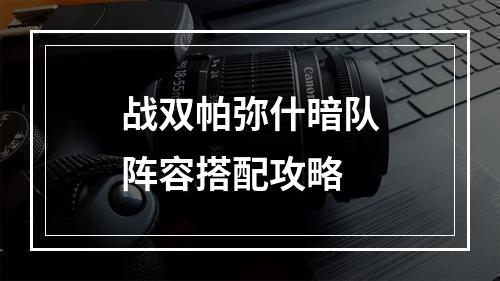 战双帕弥什暗队阵容搭配攻略