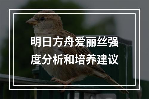 明日方舟爱丽丝强度分析和培养建议