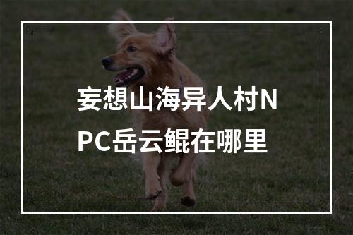 妄想山海异人村NPC岳云鲲在哪里