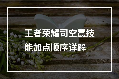 王者荣耀司空震技能加点顺序详解