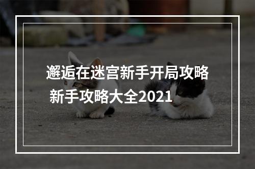 邂逅在迷宫新手开局攻略 新手攻略大全2021