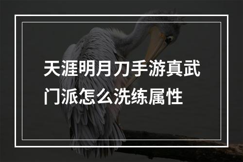 天涯明月刀手游真武门派怎么洗练属性