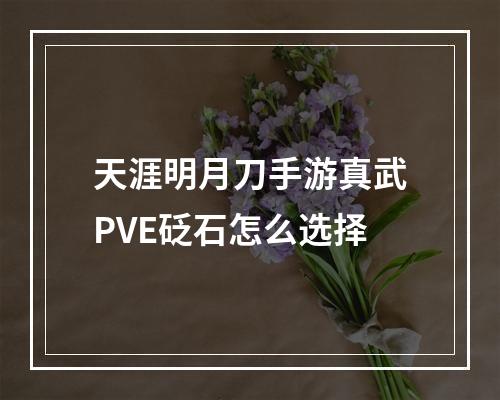 天涯明月刀手游真武PVE砭石怎么选择