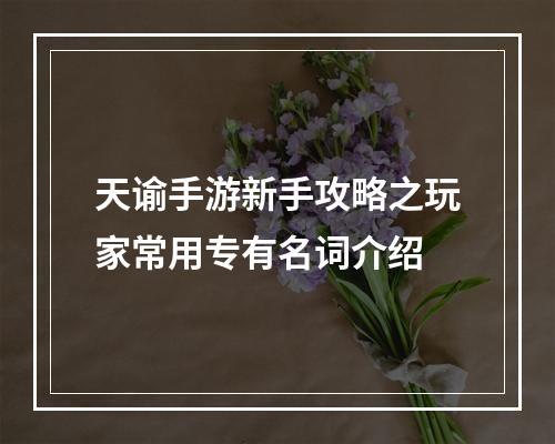 天谕手游新手攻略之玩家常用专有名词介绍