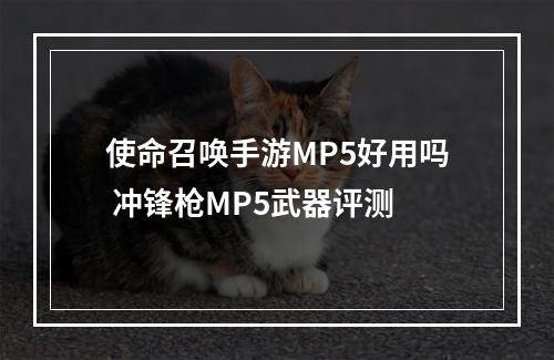 使命召唤手游MP5好用吗 冲锋枪MP5武器评测