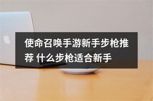 使命召唤手游新手步枪推荐 什么步枪适合新手