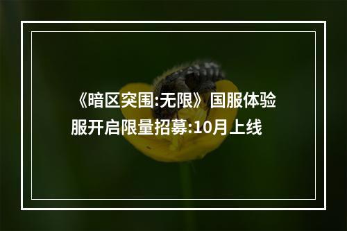 《暗区突围:无限》国服体验服开启限量招募:10月上线