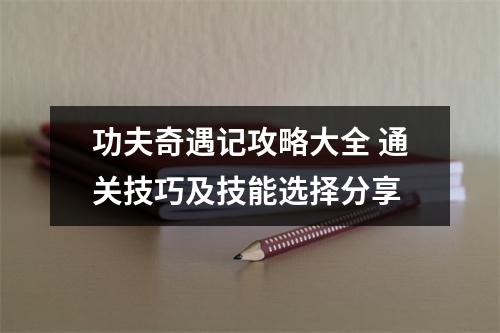 功夫奇遇记攻略大全 通关技巧及技能选择分享