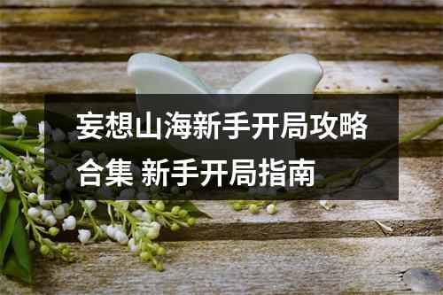 妄想山海新手开局攻略合集 新手开局指南